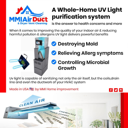 How do UV light sanitizers work