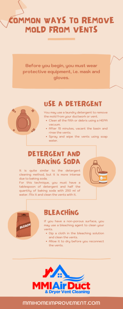 Mold Removal Method Infographic