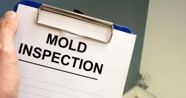 Mold Inspection By MMI Home Improvement