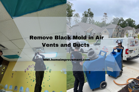 Remove Black Mold in Air Vents and Ducts
