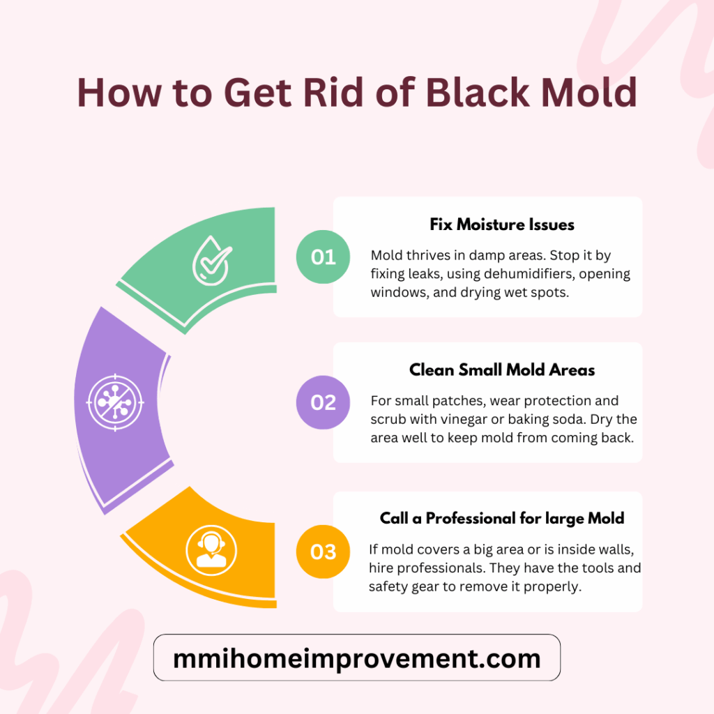 Black Mold