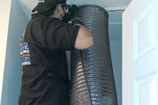 Professional Mold Tests