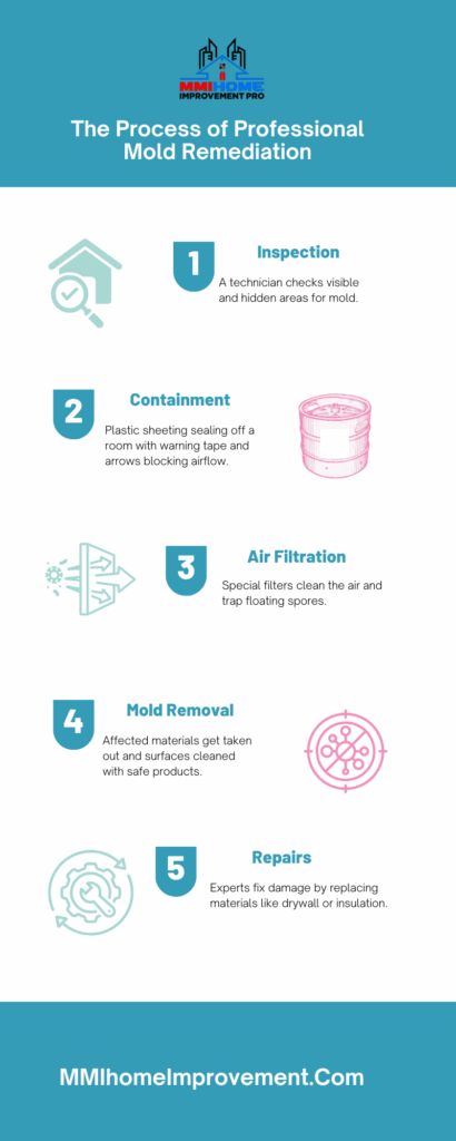 Process of Mold Remediation Expert