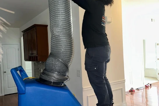 Get Rid of Black Mold MMIHomeimprovement