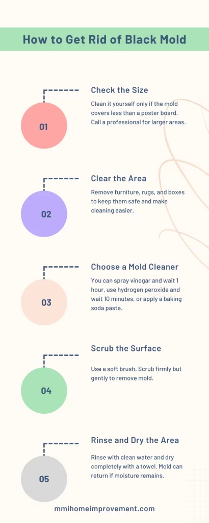 Get Rid of Black Mold