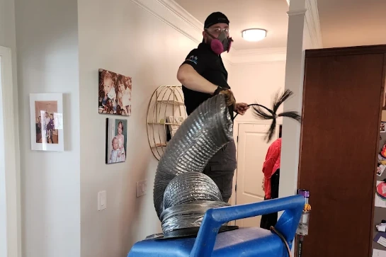 Mold Removal services