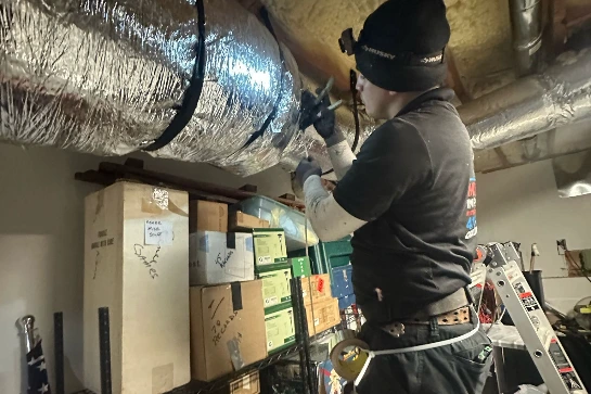 Mold Removal Service