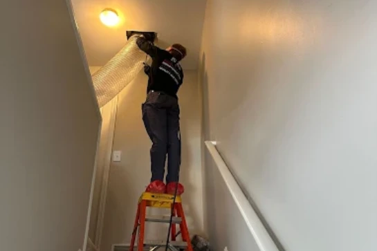 Mold-Infestation-Treatment