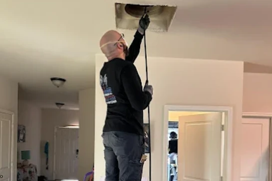 Hire-MMI-Experts-for-Mold-Cleanup-Service