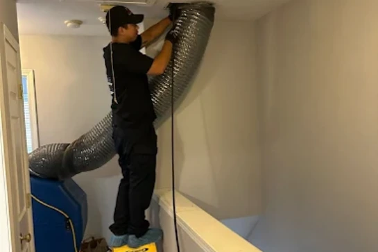 MMI-Specialist-Remove-Mold-from-Painted-walls