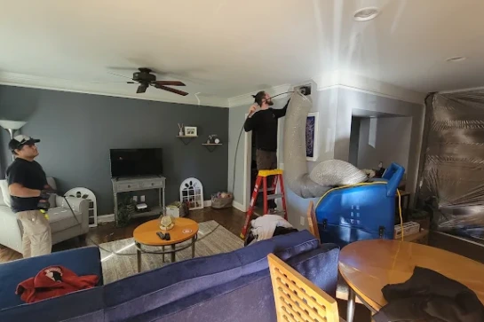 soaking in vinegar Mold treatment