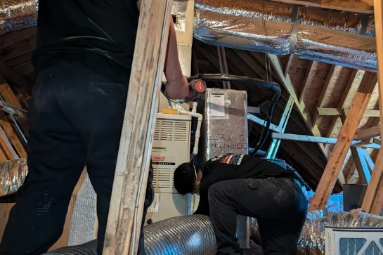 What Is the Mold Remediation Process Step by Step?