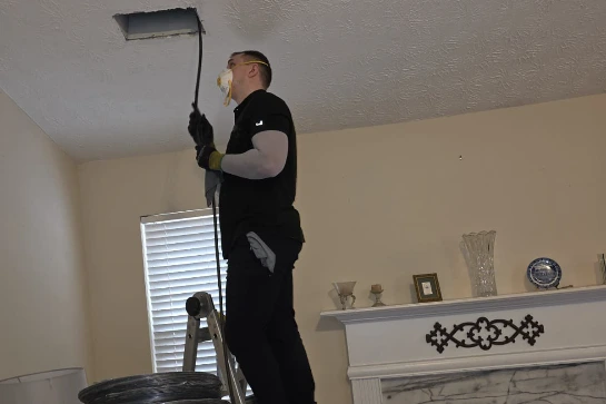 kills mold in air ducts