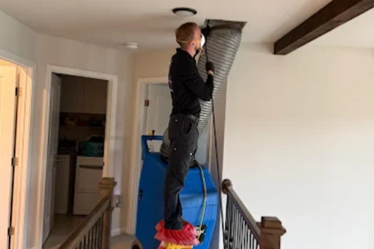 Professional-Attic-Mold-Removal-Removal-Services-by-MMI-Home-Improvement