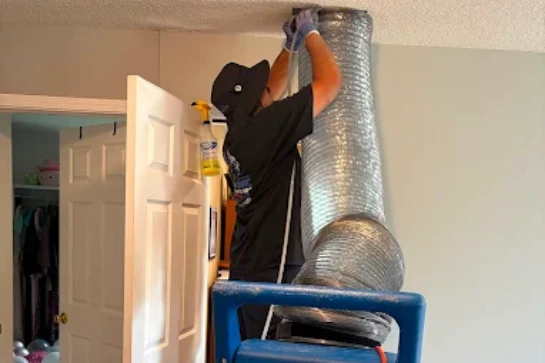 mold solution