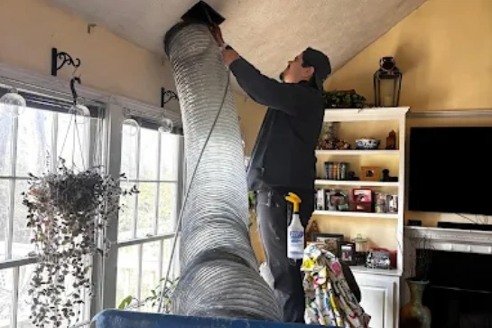 Duct Mold Removal
