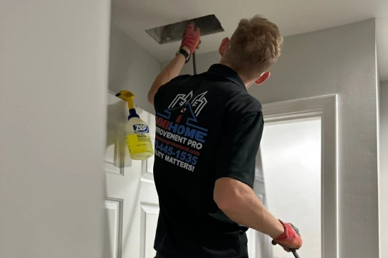 Kills-Mold-by-MMI-Technicians