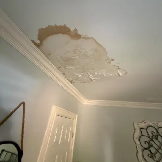 Water-Damage-and-Ceiling-Repair